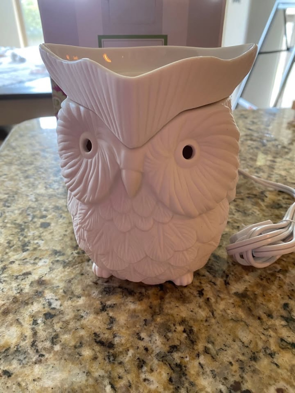 Scentsy Retired Whoot Owl Warmer